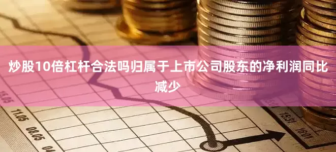 炒股10倍杠杆合法吗归属于上市公司股东的净利润同比减少