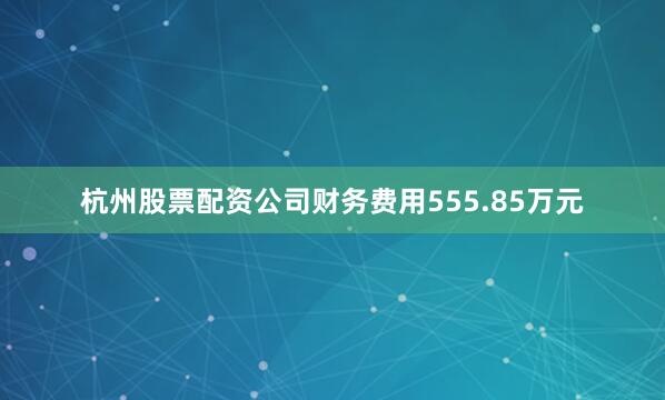 杭州股票配资公司财务费用555.85万元