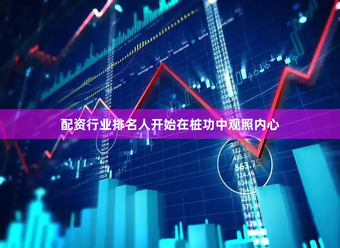 配资行业排名人开始在桩功中观照内心